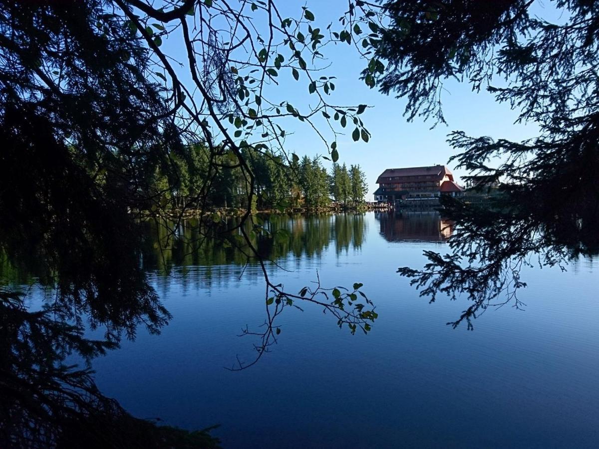 Апартаменты Fewo Vogesenblick Lauf Экстерьер фото